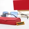 Designer New Wood Grain Carter Sunglasses para mulheres e homens Baça dupla Cut Edge Protection, incluindo 8033 Categoria EPHF