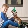 Hundkläder St Patrick's Day Cat Hatt med krage roligt husdjur Huvudstycke skarp poinged Green Dräkt Tillbehör Irish Leprechaun