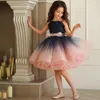 Flower Girl Dress Elegant Ballet Dance Tulle spetstryck prinsessan boll första nattvards klänningar barn överraskning födelsedagspresent 240510