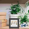 Frames Spécimen PO Cadre DIY Fleur Picture Fleurs séchées flottantes Plantes ménagers Soutiens de bureau