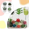 Fleurs décoratives 4x Green Plantes artificielles Purificateur d'air Greene intérieur pour un environnement de vie sain succulent en pot