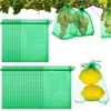 6 * 8inch Organza Sacs de protection contre les fruits Sacs de filet de fruits arbres fruitiers Couvrer le sac à serrage Barrier Netting Barrier Protéger les fruits légumes EW0261