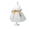 Hundkläder husdjurskläder handgjorda rena vita bröllopsklänningar fina broderade fjäril spets kjolar för liten pudel