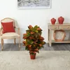 Dekoracyjne kwiaty Croton sztuczna roślina (prawdziwa) pomarańczowy szklany wazon bukiet papierowy papierowy prezent Wisteria wiszący łuk