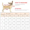 Dog Apparel Cartoon Female Shorts Underwear Pet Physiological Pants Diaper Briefs For Small Girl Dogs Puppy Schnauzer Mascotas Panties