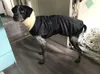 Vestiti di abbigliamento per cani giacca inverno italiano gli abiti natalizi per cani e maglioni all'ingrosso