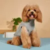 Hondenkleding ademende warme huisdier trui gezellige stijlvolle bowknot decor winterhond/kattenvest zacht gemakkelijk te dragen klein