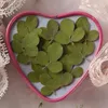 Decorative Flowers 60pcs Pressed Dried Flower Shamrock Clover Leaf Herbarium For Epoxy Resin Jewelry Making Bookmark Face Makeup Nail Art