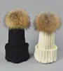 Gorros de costela de malhas de designers com raccoon cão de cachorro bola crianças chiques pão pom pom de inverno