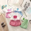 2Pcs Summer Baby Clothes Set Fruit Print Kids Girls Short Sleeve Tshirt Suit Plaid Shorts Fashion Cotton T Shirt Pants 240426