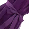 Robes décontractées Mesh Fashion High Waist A-Line Robe Femme Purple Elegant Evening Robes Sans manches One épaule Party Robe Sexy Big Taille