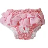 Dog Apparel Chiffon Female Pet Lace Sanitary Physiological Pants Reusable Diapers For Dogs Washable Puppy Short Panties Small