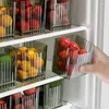 Bouteilles de rangement Réfrigérateur Porte latérale Artefact alimentaire Grea Green Onion Ginger Aim Conteneur Plastique Plastics Boîte