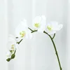 Les fleurs décoratives se sentent hydratantes artificielles orchidées phalaenopsis fausses plantes bonsaï salon de la maison décoration de Noël pote en gros pote
