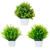 Dekorativa blommor Simulerade krukväxter fyrkantiga gröna växter Olika typer av plast Bonsai Heminredning levererar livligt kontor skrivbord