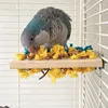 Andra fågelförsörjningar papegoja tugga leksaker varaktigt tugga leksak trä husdjur stativ cockatiel som foderar små för olika fåglar