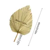 Decoratieve beeldjes Natuurlijke palm speerventilator Gedroogde bladeren met stengel Cattail Leaf Ornament Wedding El Home Wall Decor PO Props