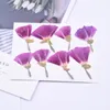 Fleurs décoratives 120pcs pressés Godetia séché Amoena Flower Plant Herbarium Bijoutte Poste Bookmark Téléphone Boîte de téléphone Card Invitation DIY