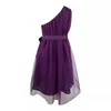 Robes décontractées Mesh Fashion High Waist A-Line Robe Femme Purple Elegant Evening Robes Sans manches One épaule Party Robe Sexy Big Taille