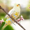 Andere vogels leveren papegaai kleding luiers uitwerpselen Pocket Pet Cute Bowtie kanten riem wasbare lichtvluchtvogels