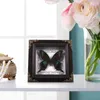 Frames Butterfly Specimen Po Frame Home Decor Wall Hanging Holder Wooden DIY Display Picture Ornament