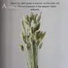 Decorative Flowers 50/100Pcs Natural Gem Grass Dried Bouquet Wedding Decoration Jewelry Phalaris Preserved Home Pography Decor