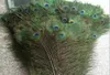 200pcs Feather Peacock Tails 10quot12quot Tail Feathers Fan for Wedding Party Party Decoration9684888