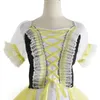 Giselle Professional Ballet Tutu Skirt Tulle Dancing Dress Romantic Ballet Costume Stage Dance Wear Girls Women Child Adult 240510