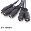 Connecteurs d'extension CC 12V CALIQUE MALIQUE ADAPTATEUR DE CABLE JACE MALE ALIMENTATION ALIMENTATION DE 5,5X2,1 mm LED LUMINE CCTV CAMERIE 26 cm Longueur