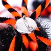 Bracelet Halloween Hallow Spiders applaudissant décorations effrayantes Broches de bande de bricolage décoration décoration ornements pour enfants CPA7045 915