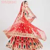 Ethnische Kleidung indischer Sari -Schalnetz gestickt ethnisch indische pakistanische Kleidung