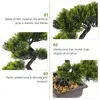 Flores decorativas Decorações de mesa Plantas falsas Casa Bonsai Artificial Home Indoor Light Cute Tree