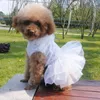 Hundebekleidung Mode Prinzessin Haustier PEST-PALLE Kleid T-Shirts Liebhaber Anzug kleiner mittlerer Katzenzubehör Röcke