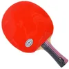 Palio original 3 estrelas Table Carbon Tennis Racket com CJ8000 Rubber Loop Spin Attack Pingue Pongue Bat 240511