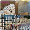 Mannequin Heads Training Human Body Model Head Canvas Block Display Shape WigTripod Stand Få gratis T-PIN Wig Installation Kit Q240510