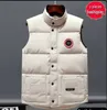 Канадские зимние жилеты Вестидо мужские жилеты Bodywarmer Fashion Jackets Женские Gail Designer Cav