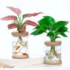 Vases Mini Hydroponic Flower Pot Home Vase Vase Imitation Transparent Verre Soille sans plante Pusts Green Plantes Décoration