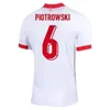 2024 Polônia Jerseys de futebol dos jogadores da Polônia Lewandowski Zielinski Swiderski Grosicki Frankowski Zalewski Piaatek Slisz Home Football Shirts