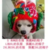 Hundkläder årets outfit Fatou nordöstra stora blommor bomullsrockhundar och katter Autumn Winter Pet Clothes