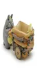 Carton Carton Totoro Flower Pot Resin Arts and Crafts Green Plant Plant Container Place Adorn Gardening Fenuage Article Y9462430