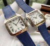 Top Quality Series Fashion Quartz Watch Men Femmes Gold Silver Cadin Sapphire Verre Square Design de bracelet AVEUX LUXEUR CUIR LUXE S2843026