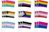 HomeProduct CenterlesbianBiseSexualBiseSexualPride vlag 240425