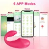 Autres articles de beauté Health App Demote Control Dildo Vibrateur pour femmes sans fil Bluetooth G Vibratrice Femme Clit Vibrant Pantes Oeuf avec 2 moteurs T240510
