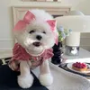 INS Spring Vintage Plaid Pet Prinzessin Kleid Fliege Kurzhundekleid Welpe Bichon Frise Pudel Hundekleidung mit Haarkrawatte Set 240511