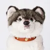 Hundekragen Loudik-Puppy-Haustierkragen mit Reizplattenlaser-ID-Name MADE ECO Leder klein und Katzenkettenzubehör Großhandelesalaleses