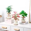 Vases Mini Hydroponic Flower Pot Home Vase Vase Imitation Transparent Verre Soille sans plante Pusts Green Plantes Décoration