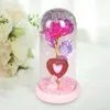 Rose Dome in Flowers Glass Decorativa com luzes Presentes do Dia dos Namorados para a Mãe Decoração Flor Cobertada 0110