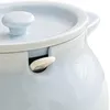 Garrafas de armazenamento Casa de cozinha de cerâmica elegante Conjunto com colher e tampa - jarra de grande capacidade para temposos chá