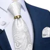 Neck Tie Set Elegant White Paisley Silk Ties For Men Luxury Wedding Party Groom Accessories Slipsarduk Manschettkropp Cravat Gift