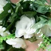 Decorative Flowers DociDaci 2Pcs Artificial White Fake Rose Hanging 2.2M Vines Plants Leaves Artificials Garland Wedding Party Decoration